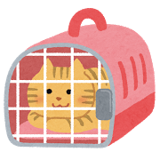 pet_carry_cage_cat